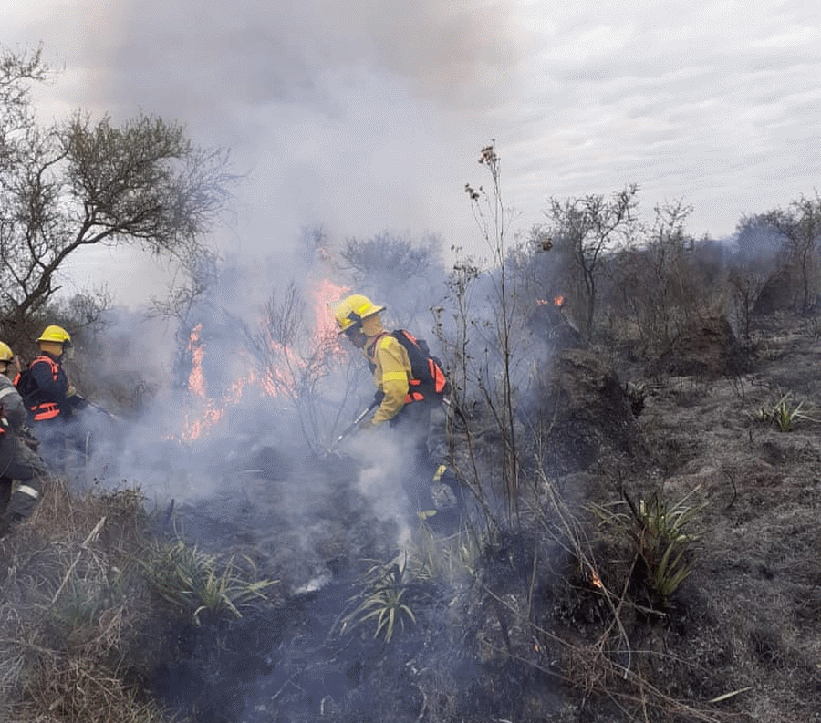 Video: Bomberos Voluntarios Sofocaron Un Incendio Forestal De Grandes ...